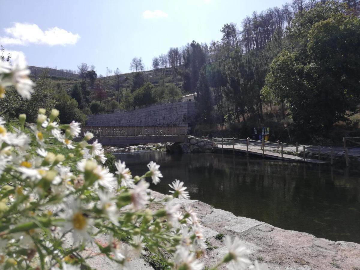 Sambuc'asa - Serra da Estrela Sabugueiro (Guarda) Exterior foto