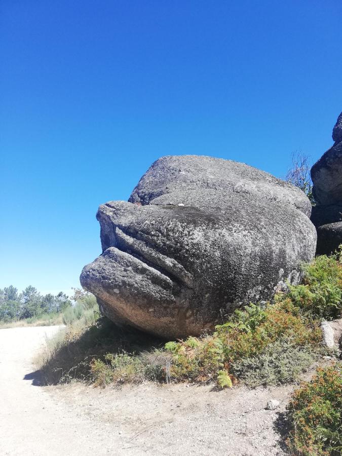 Sambuc'asa - Serra da Estrela Sabugueiro (Guarda) Exterior foto