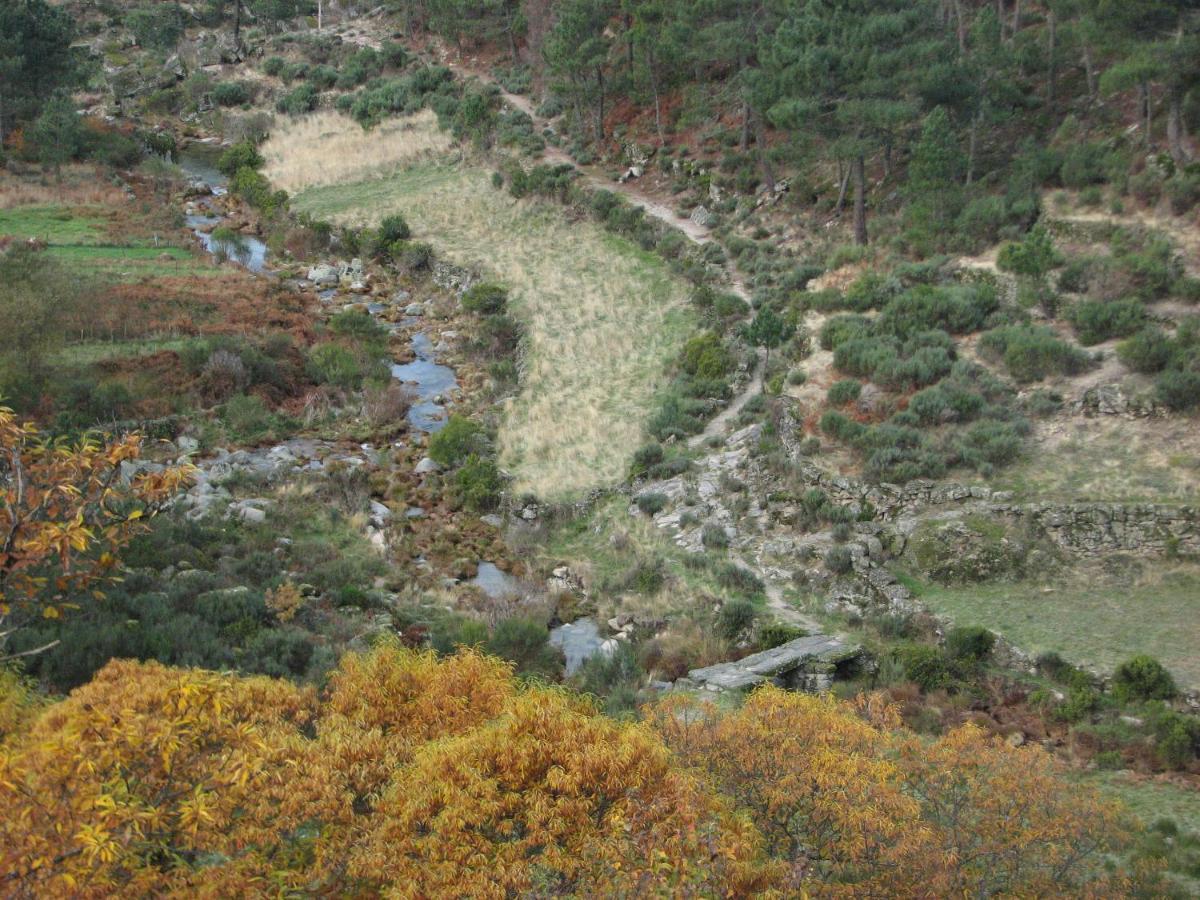 Sambuc'asa - Serra da Estrela Sabugueiro (Guarda) Exterior foto