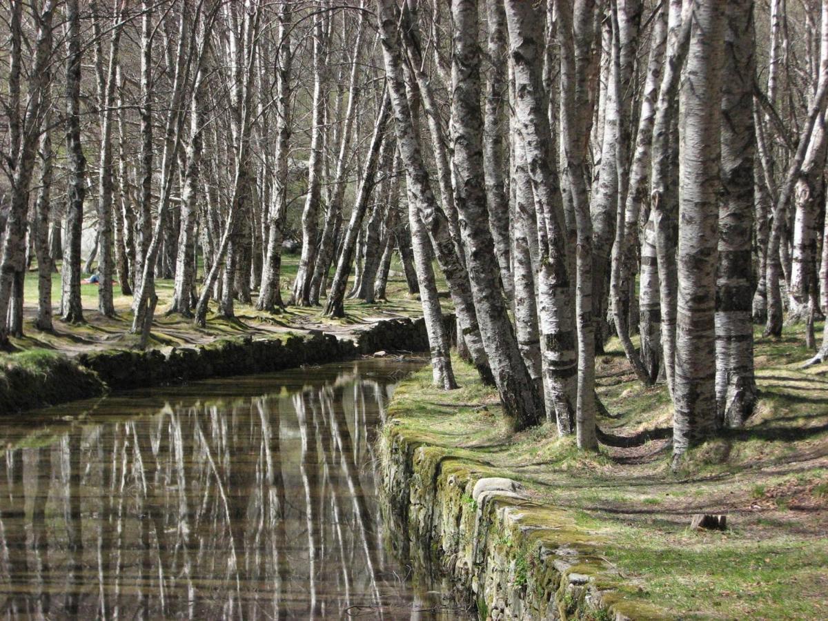 Sambuc'asa - Serra da Estrela Sabugueiro (Guarda) Exterior foto